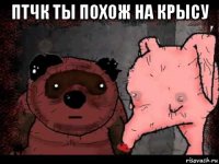 птчк ты похож на крысу 