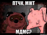 птчк, мжт мдмс?