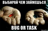 выбирай чем займешься bug or task