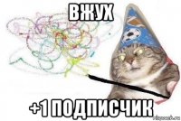 вжух +1 подписчик