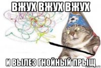 вжух вжух вжух и вылез гнойный прыщ