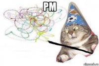 pm 