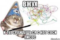 вжух и ты сражаешься с кот соси писос