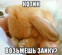 котик возьмёшь зайку?