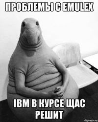 проблемы с emulex ibm в курсе щас решит