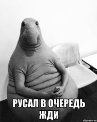  русал в очередь жди