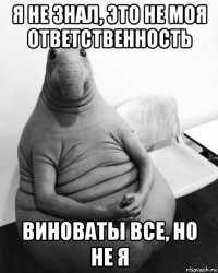 я не знал, это не моя ответственность виноваты все, но не я