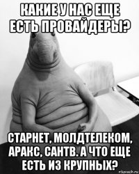 какие у нас еще есть провайдеры? старнет, молдтелеком, аракс, сантв. а что еще есть из крупных?