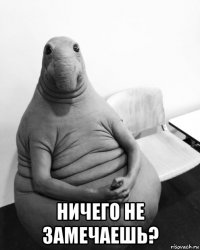  ничего не замечаешь?