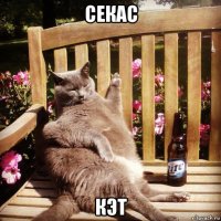 секас кэт