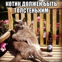 котик должен быть толстеньким ^^