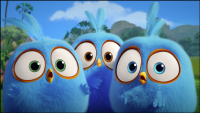Создать мем Angry birds