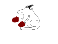 Создать мем ANGRY FROG