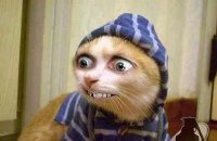 Создать мем Котакбас