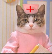 Создать мем Котайболит