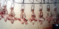 Создать мем Круты