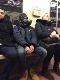 Создать мем Пуг