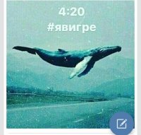 Создать мем Синий кит