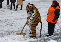 Создать мем Снегоуборочная техника