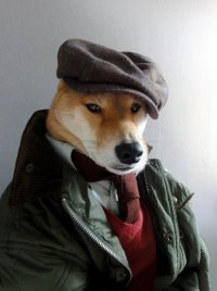 Создать мем Собакен