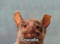 Создать мем Токси