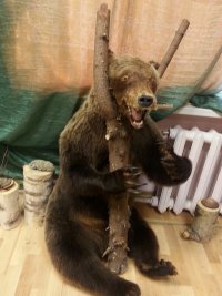 Создать мем Владимир Верховцев
