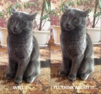 Создать мем Well ill think about it