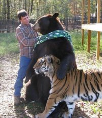 Создать мем Я и мое кот