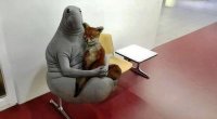 Создать мем Ждун с лисой