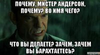 почему, мистер андерсон, почему? во имя чего? что вы делаете? зачем, зачем вы барахтаетесь?