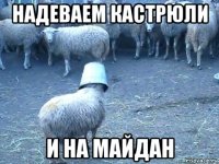 надеваем кастрюли и на майдан