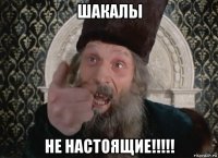 шакалы не настоящие!!!!!