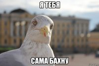 я тебя сама бахну