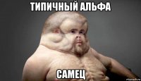 типичный альфа самец