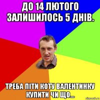 до 14 лютого залишилось 5 днів. треба піти коту валентинку купити чи що...