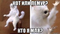 кот или лемур? кто я мля?