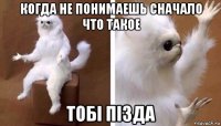 когда не понимаешь сначало что такое тобi пiзда