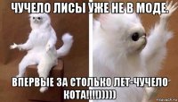 чучело лисы уже не в моде. впервые за столько лет-чучело кота!!!!)))))