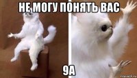 не могу понять вас 9а