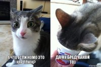 а что если Homo это Карплюк? да ну бред какой то)