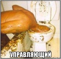  управляющий