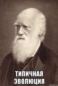  типичная эволюция