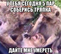 у тебя сегодня 5 пар соберись тряпка дайте мне умереть