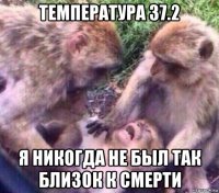 температура 37.2 я никогда не был так близок к смерти