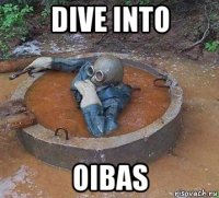 dive into oibas