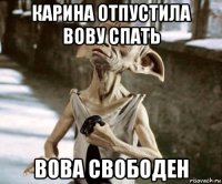 карина отпустила вову спать вова свободен