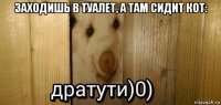 заходишь в туалет, а там сидит кот: 