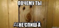 почему ты не спиш а