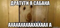 дратути я сабака ахахахахаахахаах а