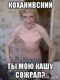 коханивский ты мою кашу сожрал?
